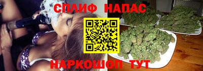 крисы Бузулук
