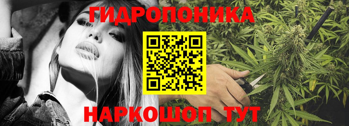 Канабис Bruce Banner Магадан